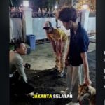 Anjing Liar Gigit Kucing Hingga Kritis di Bandung, Pemilik Diminta Bertanggung Jawab Penuh