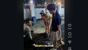 Anjing Liar Gigit Kucing Hingga Kritis di Bandung, Pemilik Diminta Bertanggung Jawab Penuh