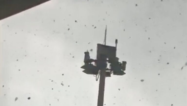 Pohon Tumbang Akibat Puting Beliung Landa Parkiran Bandara Juanda Surabaya Pohon Tumbang Akibat Puting Beliung Landa Parkiran Bandara Juanda Surabaya