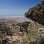 Tiga WNI Terjebak di Socotra Yaman Saat Koalisi Saudi Lakukan Serangan Militer