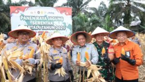 Dukung Kedaulatan Pangan, Polda Riau Panen 100 Ton Jagung dari 36 Hektare Lahan