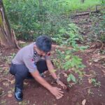 Kapolda Jateng Wajibkan 3.394 Personel yang Naik Pangkat Tanam 13.576 Pohon