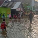 Pintu Kanal Jebol Akibat Hujan Deras, Desa Tridonorejo Demak Terendam Banjir