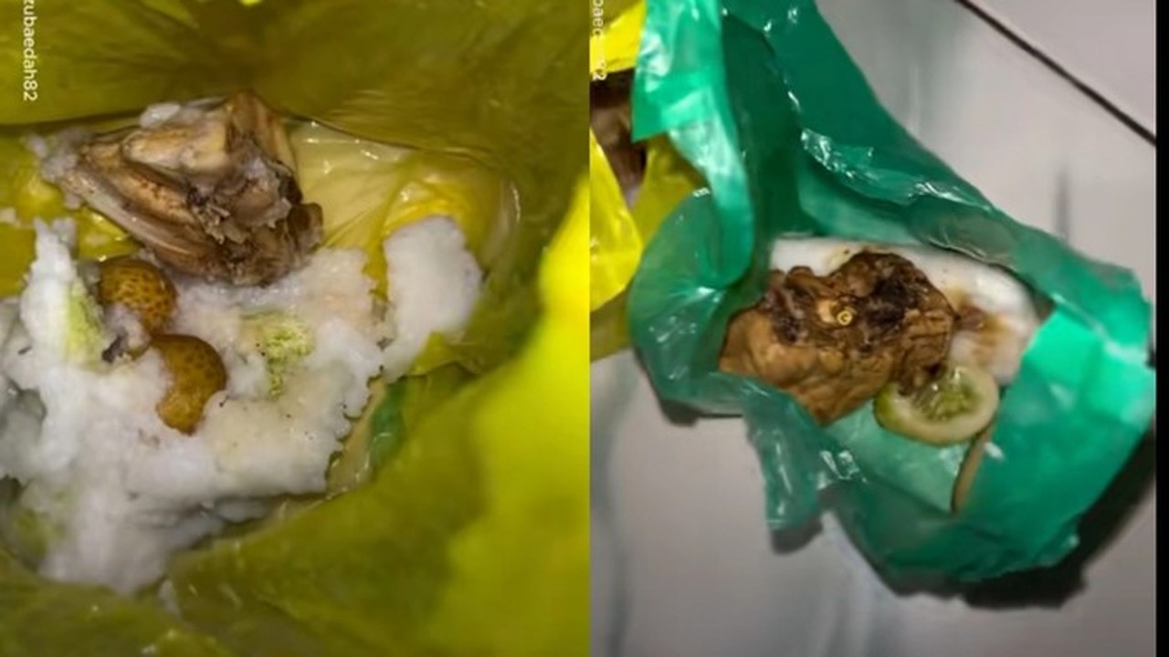 Viral Makanan Bergizi Balita Dibungkus Kantong Plastik, BGN Ungkap Alasan Kader Posyandu Viral Makanan Bergizi Balita Dibungkus Kantong Plastik, BGN Ungkap Alasan Kader Posyandu