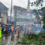 Pohon Tumbang Akibat Hujan dan Angin Kencang Timpa Mobil di Ciputat, Tangsel