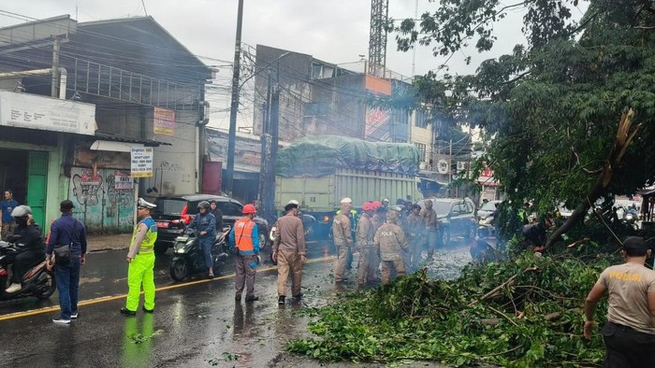 Pohon Tumbang Akibat Hujan dan Angin Kencang Timpa Mobil di Ciputat, Tangsel