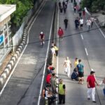 Oknum ASN Diduga Tebang Pohon Ilegal di Kebayoran Lama, Camat: Sepertinya Staf Bina Marga