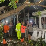 Angin Puting Beliung Terjang Probolinggo, 8 Rumah Rusak dan Pohon Tumbang