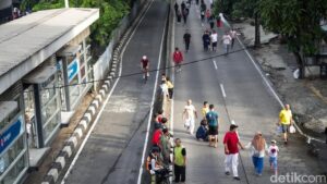 Oknum ASN Bina Marga Jaksel Terlibat Ilegal Penebangan Pohon di Kebayoran Lama