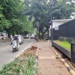 Oknum ASN Terancam Hukuman Berat Akibat Tebang Pohon Ilegal di Jaksel