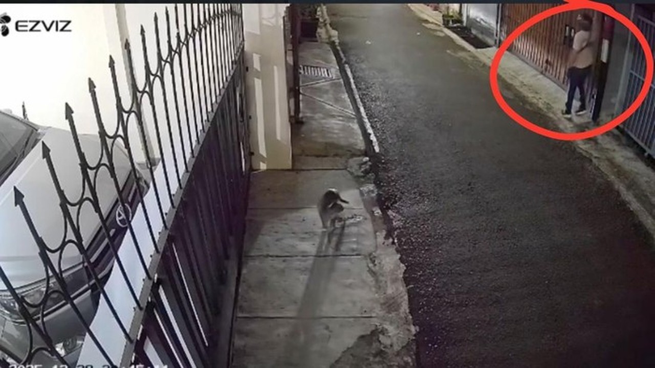 DJ Donny Lapor ke Polda Metro Jaya, Rumahnya Dilempari Bangkai Ayam dan Molotov DJ Donny Lapor ke Polda Metro Jaya, Rumahnya Dilempari Bangkai Ayam dan Molotov