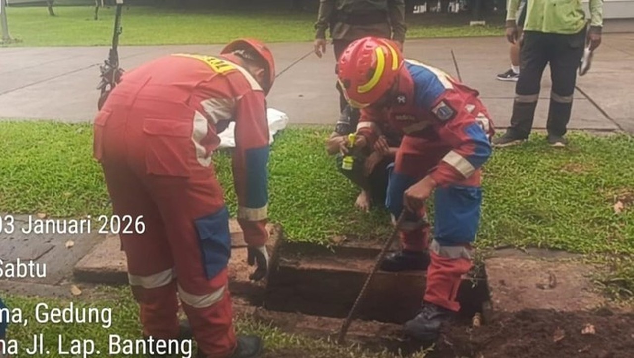 Ular Kobra Gemparkan Lapangan Banteng Jakarta Pusat, Damkar Berhasil Evakuasi Ular Kobra Gemparkan Lapangan Banteng Jakarta Pusat, Damkar Berhasil Evakuasi