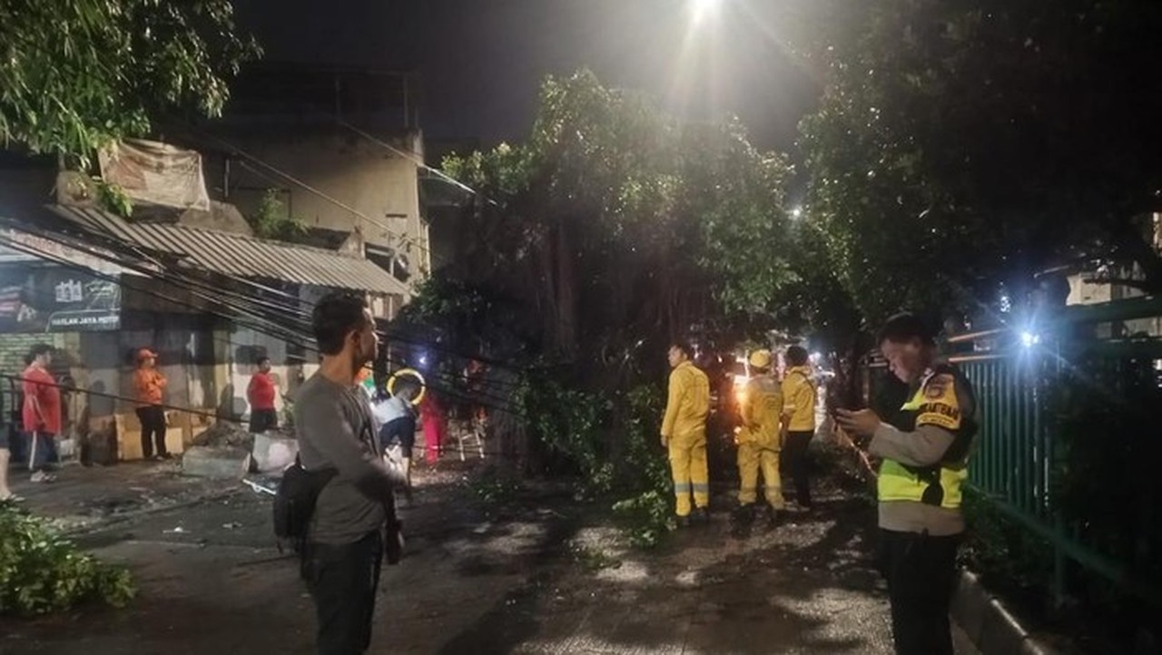 Pohon Tumbang di Palmerah, Polisi Palmerah Respons Cepat Aduan Warga Lewat Layanan 110 Pohon Tumbang di Palmerah, Polisi Palmerah Respons Cepat Aduan Warga Lewat Layanan 110