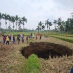 Lubang Raksasa Muncul di Sawah Warga Sumbar Pasca Suara Ledakan, Diduga Fenomena Sinkhole