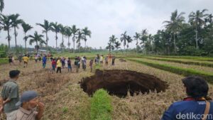 Lubang Raksasa Muncul di Sawah Warga Sumbar Pasca Suara Ledakan, Diduga Fenomena Sinkhole