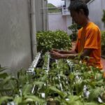 12.146 Napi Terlibat Program Ketahanan Pangan, Premi Capai Rp 902 Juta Sepanjang 2025