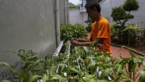 12.146 Napi Terlibat Program Ketahanan Pangan, Premi Capai Rp 902 Juta Sepanjang 2025