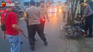 Pegawai Polres Bogor Jadi Korban Begal, Pelaku Ditangkap Setelah Tabrak Tiang Listrik